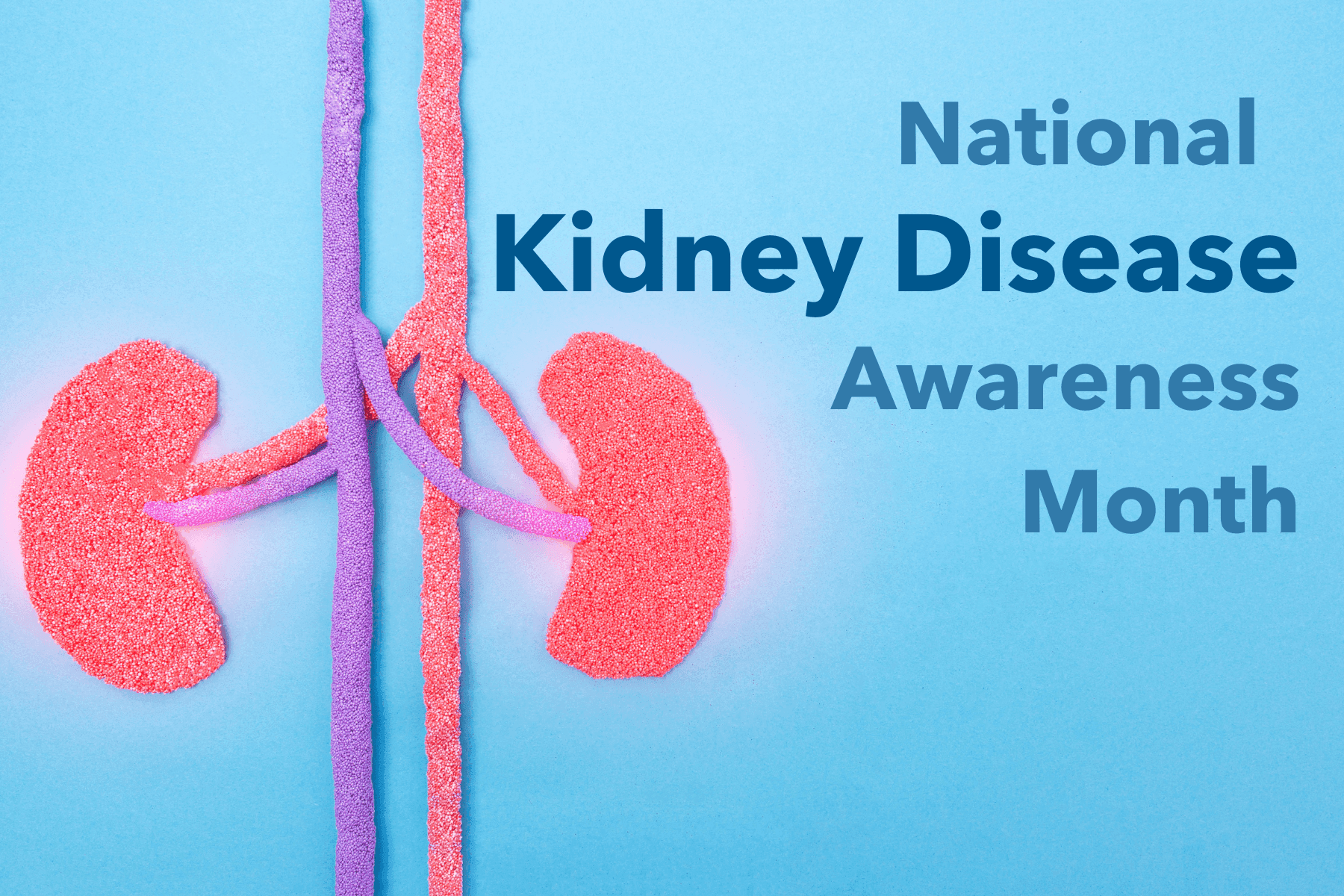March is Kidney Disease Awareness Month